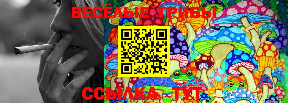 Псилоцибиновые грибы ЛСД  сколько стоит  Жуковский  Галлюциногенные грибы Psilocybine cubensis  Вход с VPN 
