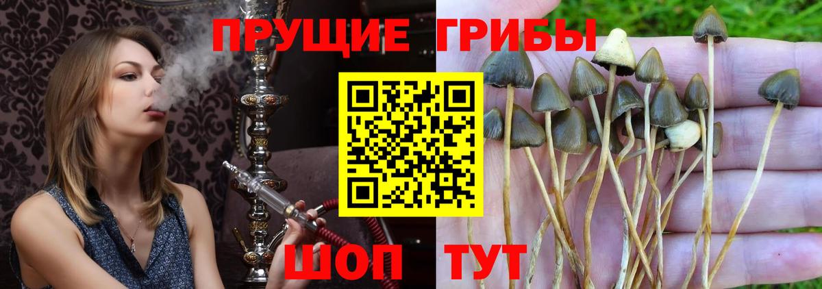 Псилоцибиновые грибы ЛСД Жуковский